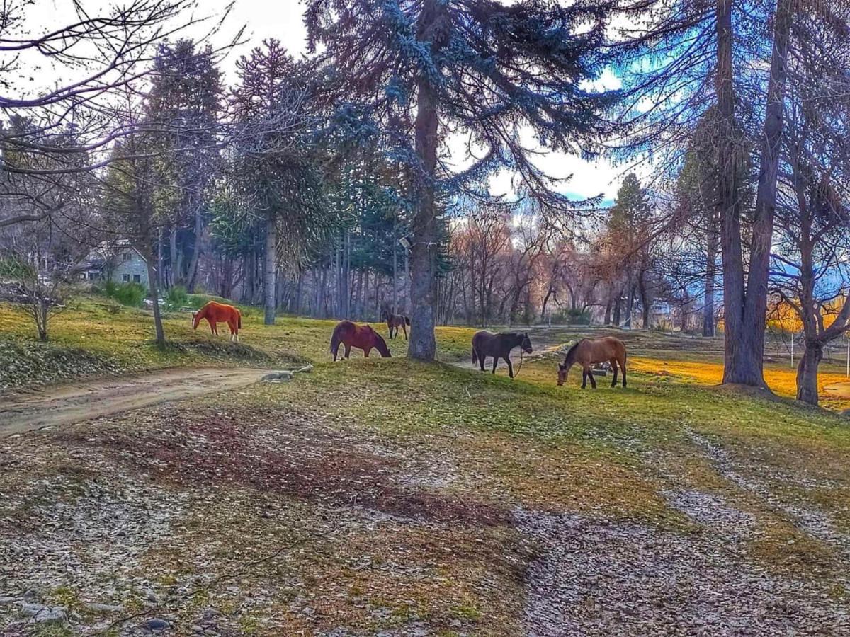 Posada Del Nireco San Carlos de Bariloche Kültér fotó