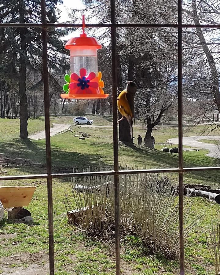 Posada Del Nireco San Carlos de Bariloche Kültér fotó
