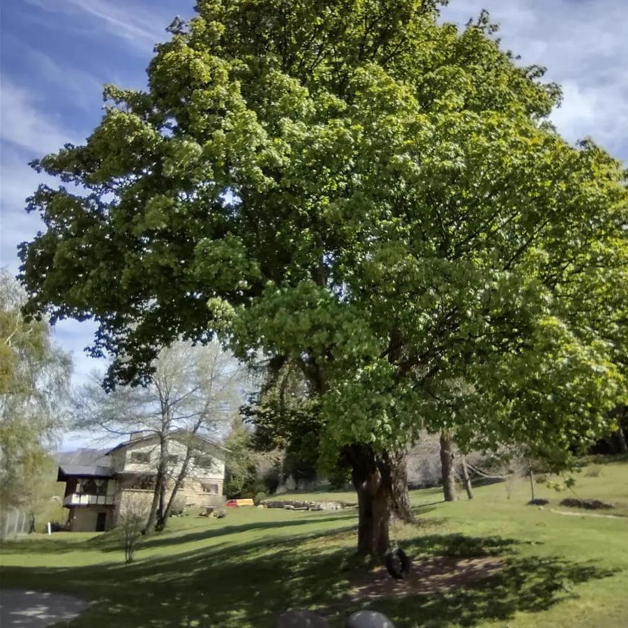 Posada Del Nireco San Carlos de Bariloche Kültér fotó