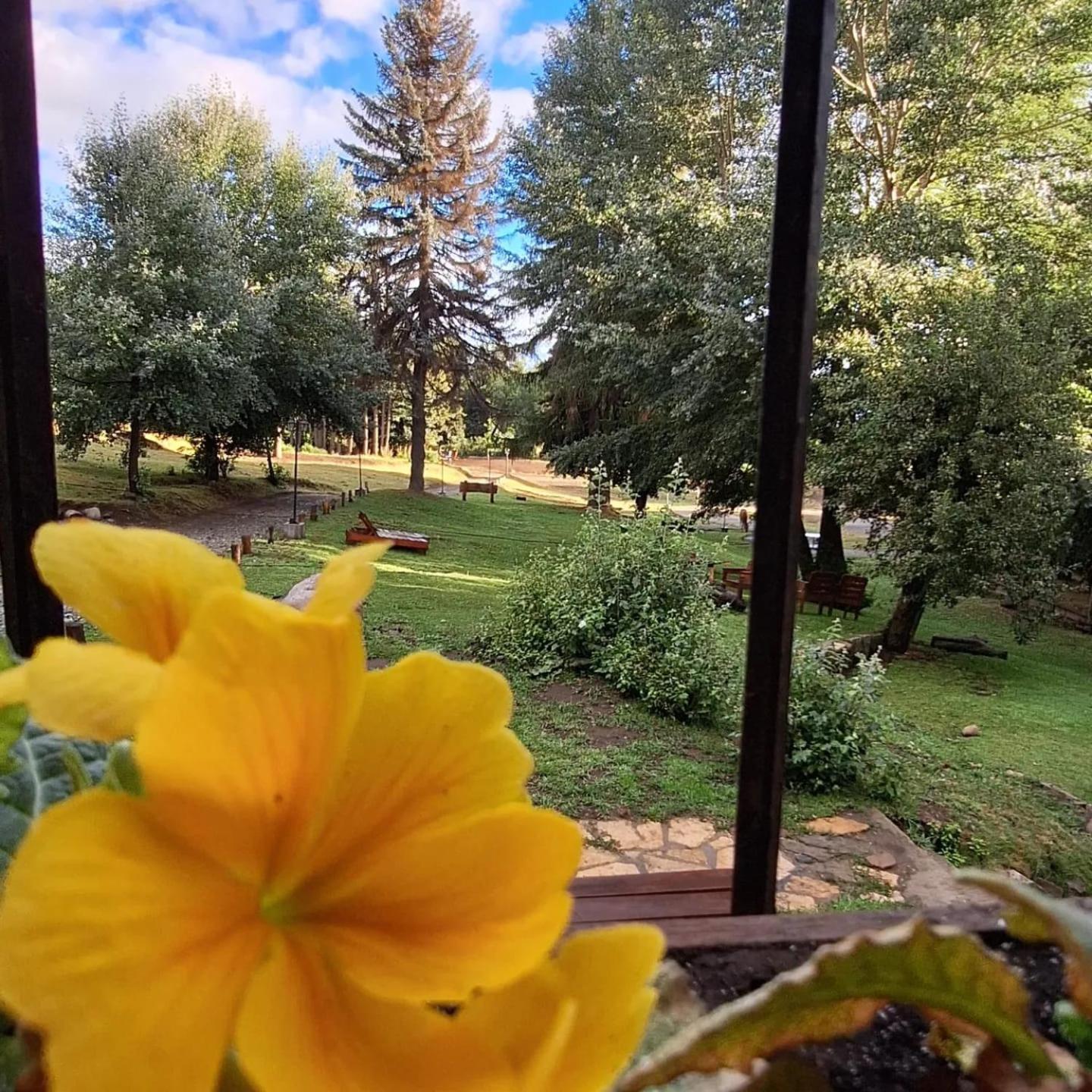 Posada Del Nireco San Carlos de Bariloche Kültér fotó