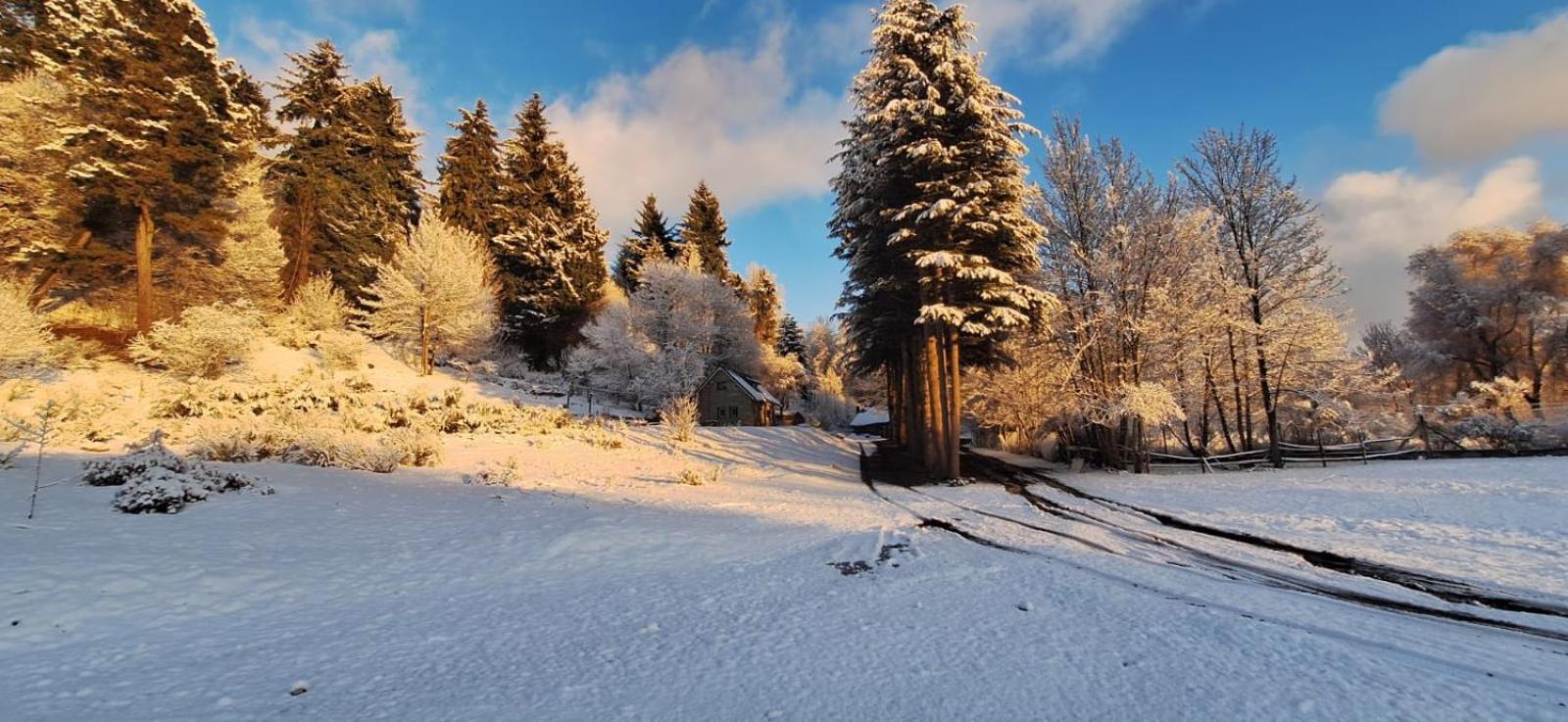 Posada Del Nireco San Carlos de Bariloche Kültér fotó